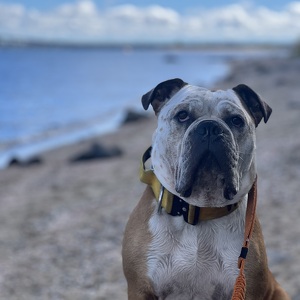 Fundraising Page: Gianna soprano